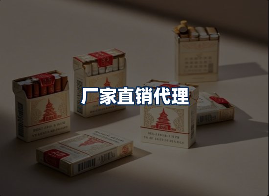 专业团队办公环境